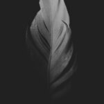 A Native American student is suing her former high school after she was forced to remove an eagle feather during her graduation ceremony.